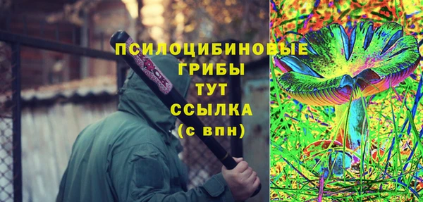 винт Гусев
