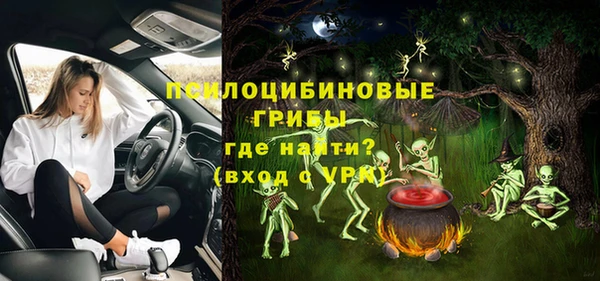 винт Гусев